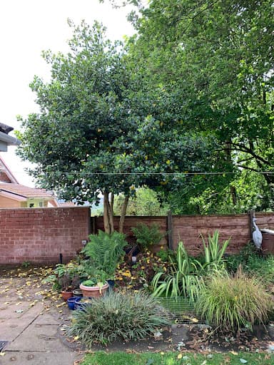 GreenBrooks Grounds & Property Maintenance Ltd — Customer photo