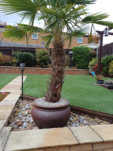 Imperio Property Maintenance — Customer photo