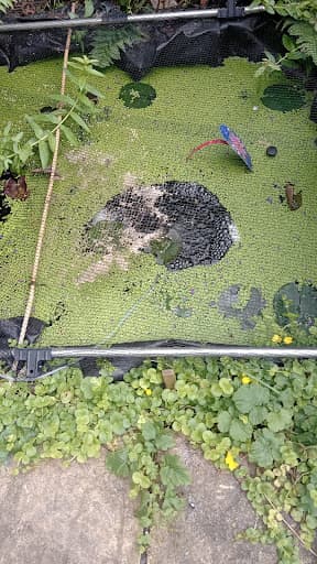 Milton Keynes Handyman Ltd. — Customer photo